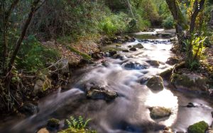 Ruta del Rio Majaceite